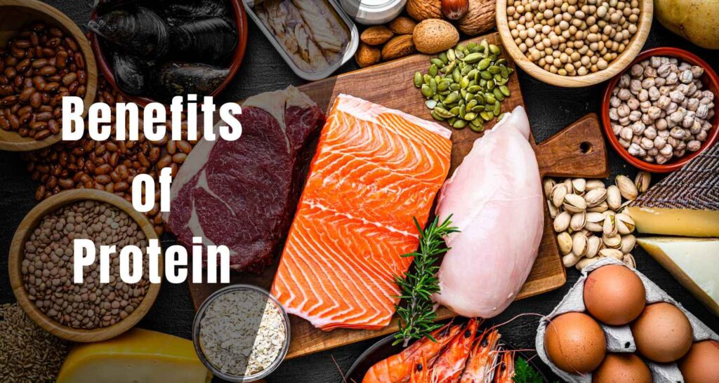 what are the benefits of protein