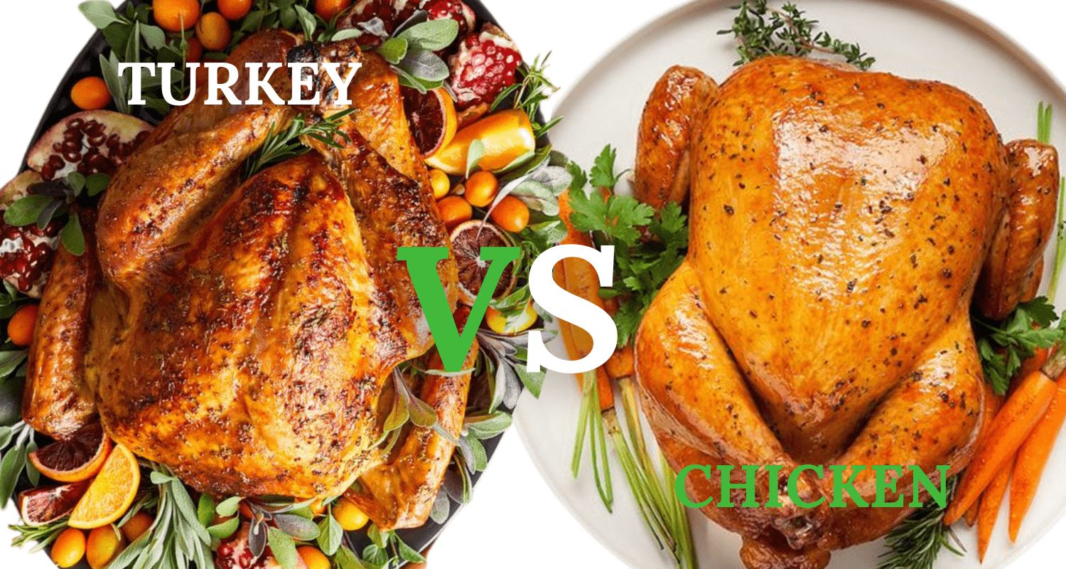 turkey vs chicken protein