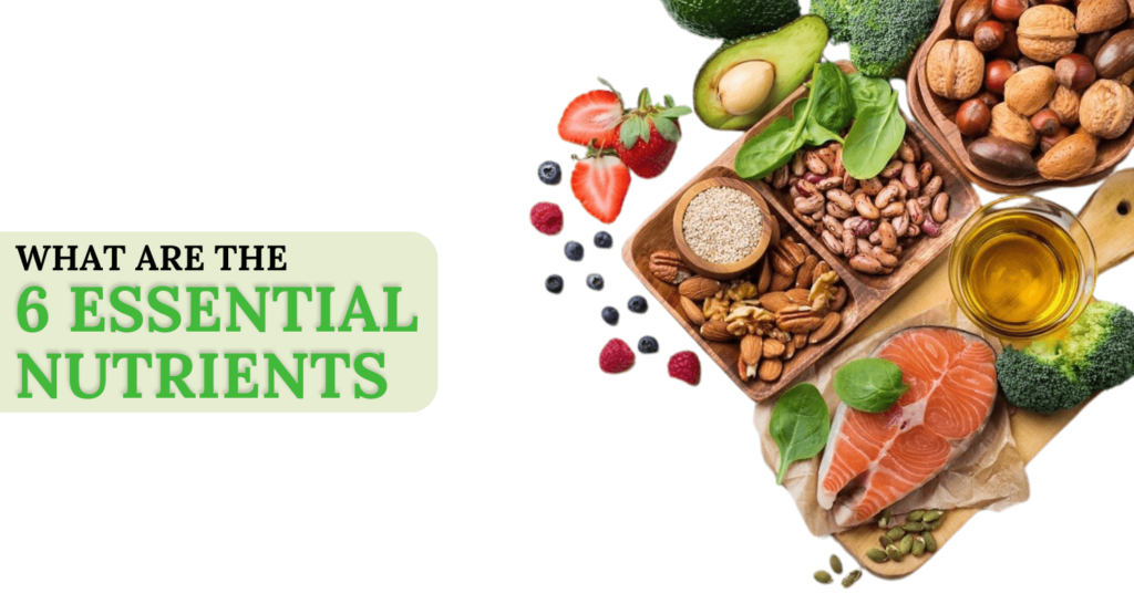 what are the 6 essential nutrients