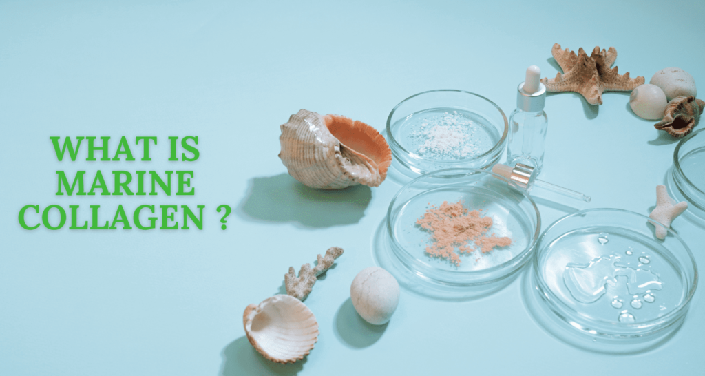 what is marine collagen