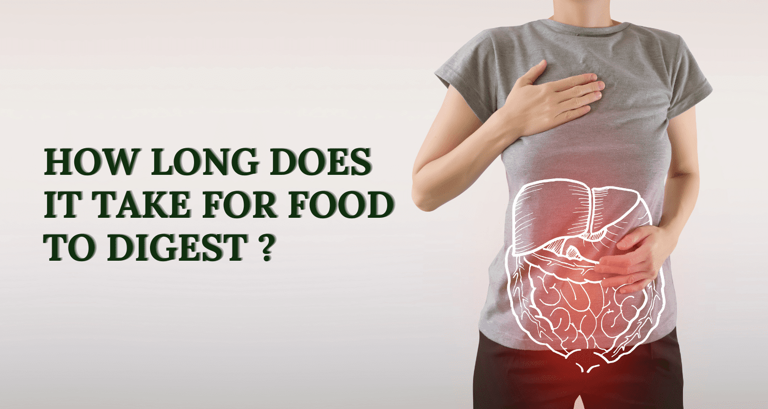 how long does it take for food to digest