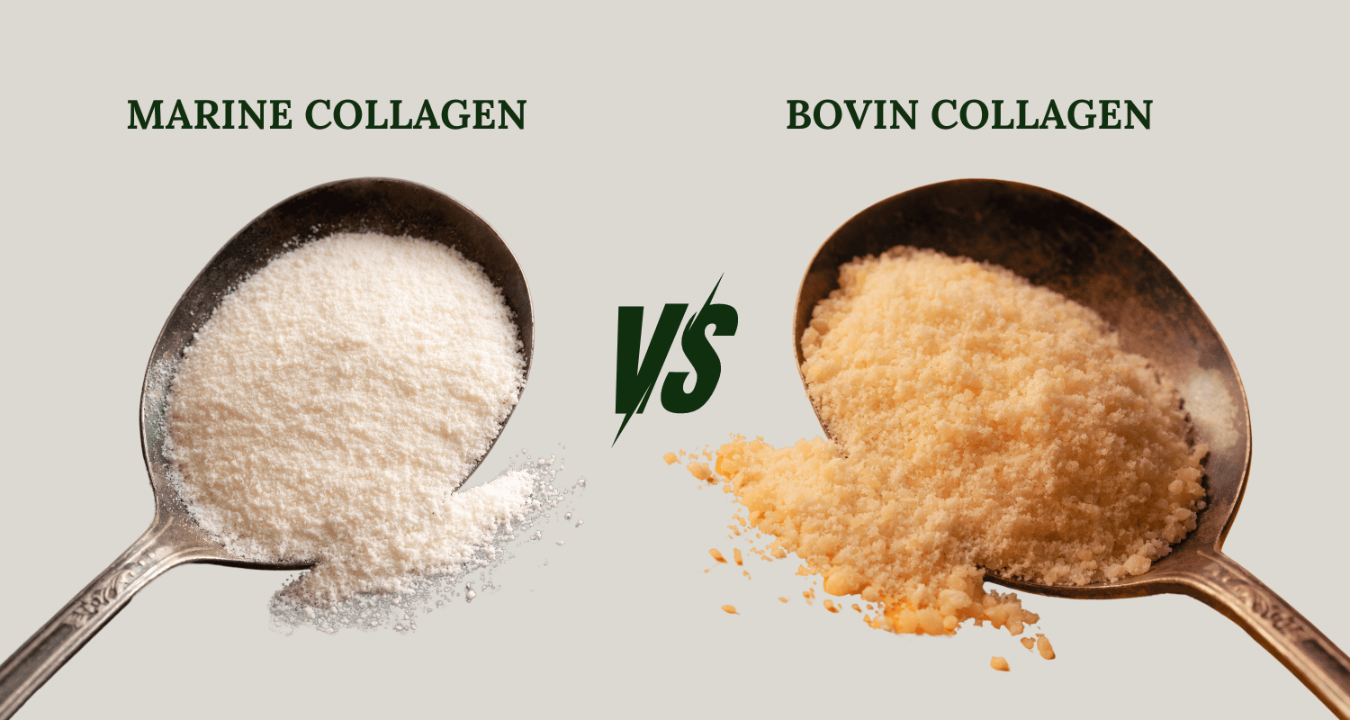 marine collagen vs bovine collagen