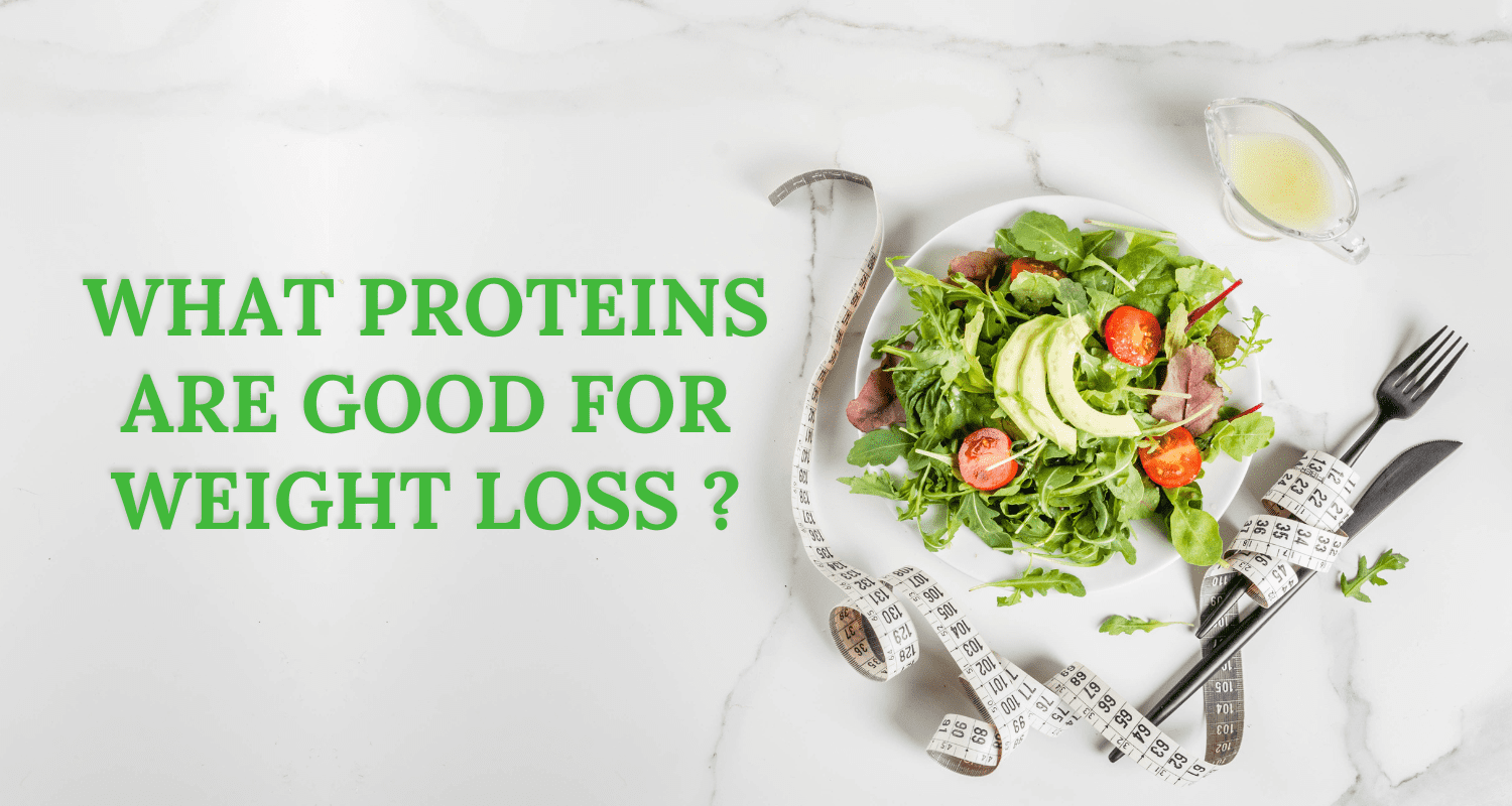 what proteins are good for weight loss